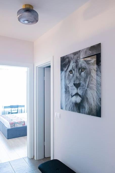 Tokiyo: A Lovely City Center 2 Bedrooms Apartment With Private Parking София Экстерьер фото